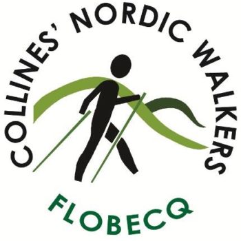 nordic walk